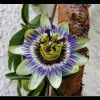 20080727_001